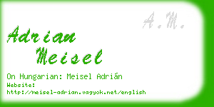 adrian meisel business card